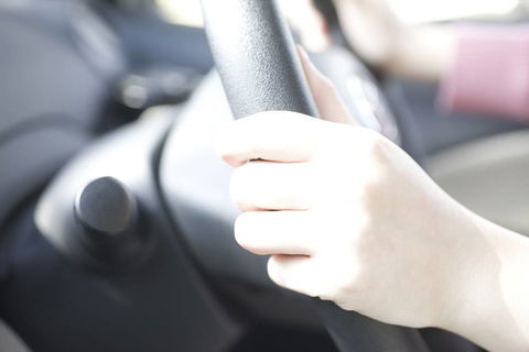 Horsley Driver Training - Education SA 4