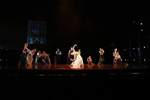 National College Of Dance - Education Directory 8