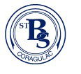 St Brendans School Coragulac - Education Sydney 0