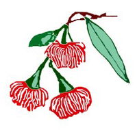 Mudgeeraba Special School - Education Directory