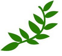 Laburnum Primary School - Education Directory 0