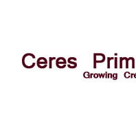 Ceres Primary School - Education Sydney