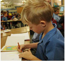 St Finbar's Primary Glenbrook - Education Directory 3