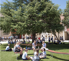 St Columba's Catholic College, Springwood - Education Directory 4