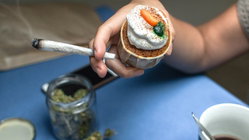 Cannabis cafes may become tourist draw in US city as lung experts cite 'toxic chemical' concerns Education Directory