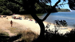 Deadly mystery unfolds as canoeists are found unresponsive after midnight trip Education Sydney