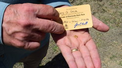 Grandfather finds hidden treasure in plain sight as park officials 'dumbfounded' by discovery Education Sydney
