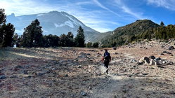 Mount Shasta climber recounts harrowing 500-foot slide, overnight crawl to safety: report Education Directory