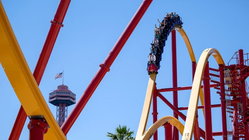 Popular amusement park bans guest for life after roller coaster stunt viral video Education Directory